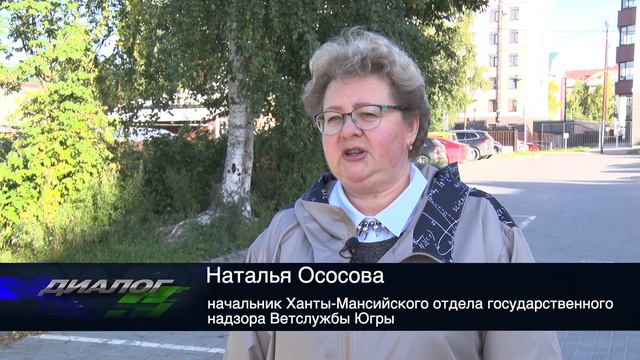 Наталья Ососова. Ответственное отношение к животным. смотреть онлайн
