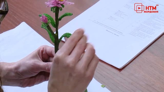 «Абилимпикс» смотреть онлайн