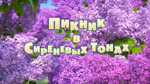 Маша и Медведь, Пикник в сиреневых тонах, 126 серия