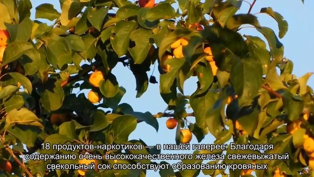 Чем полезны свежевыжатые соки смотреть онлайн
