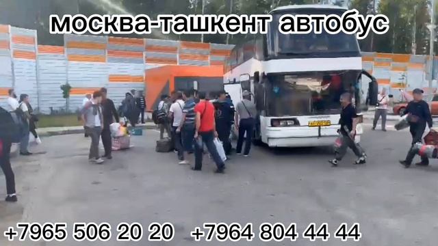 москва-ташкент автобус москва-узбекистан автобус санкт-петербург-узбекистан автобусов#automobile смотреть онлайн