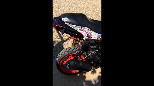 Leike hornet 180 смотреть онлайн