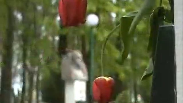 КРУГЛЯНСКИЙ РАЙОН 2012г..avi смотреть онлайн