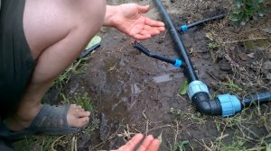 Секретный инструмент для капельного полива !