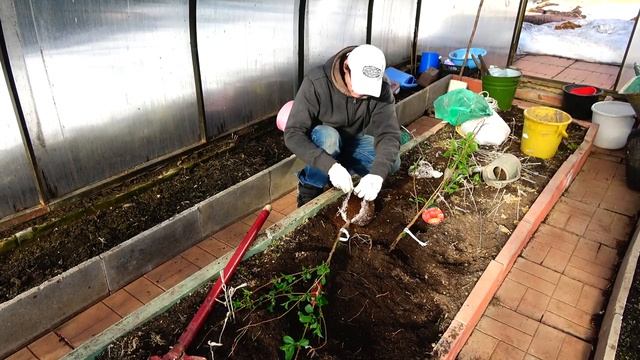 ПОДГОТОВКА К ПОСАДКЕ ВИШНИ/2018 смотреть онлайн