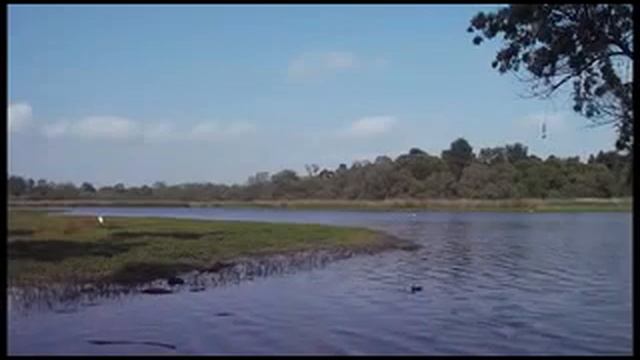 Hoàng Hạc Lâu - Thơ Thôi Hiệu - Ca sĩ Tố Hà смотреть онлайн