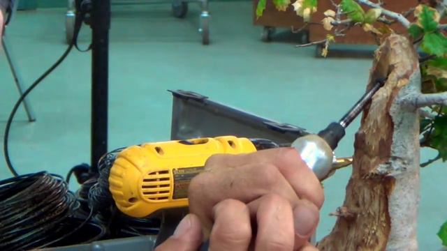 Travis Goldstein on creating jin and shari with power tools смотреть онлайн