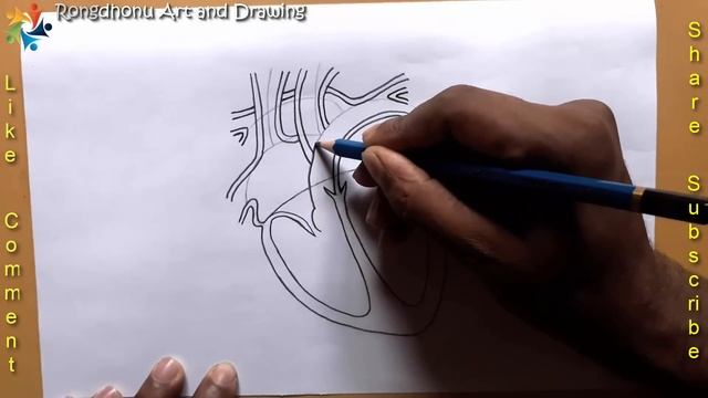 How to Draw a Human Heart | HERAT Drawing | Easy & Short Time Drawing смотреть онлайн