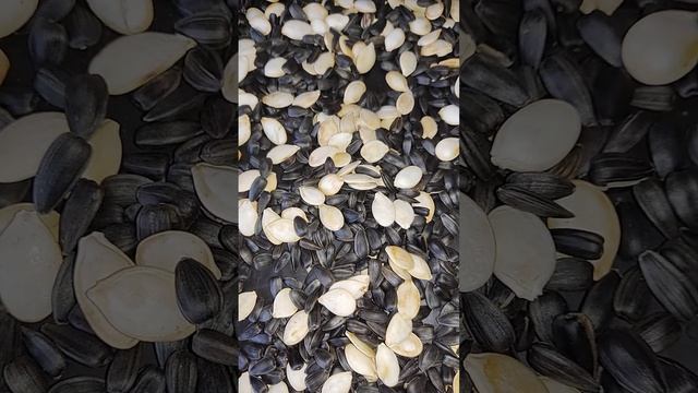 Тыквенные и подсолнечные семечки пожарила в духовке . смотреть онлайн