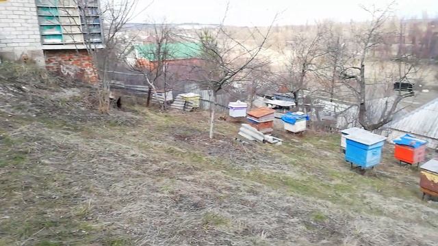 Весенняя обработка пчелосемей муравьиной кислотой. смотреть онлайн