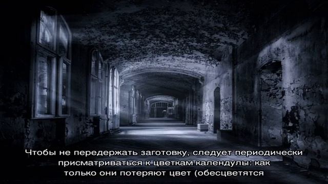 Делаем мацерат календулы смотреть онлайн