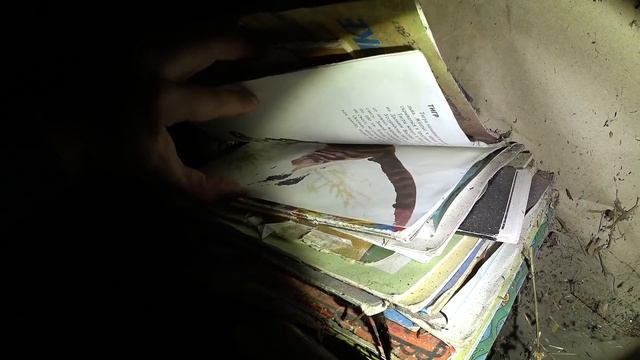 Нашёл котёнка в заброшенной деревне.Как он сюда попал? смотреть онлайн