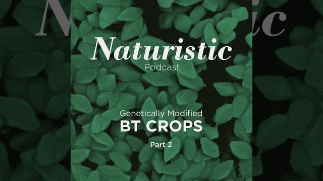 Genetically Modified Bt Crops, Part 2 – Naturistic Podcast Ep. 4 смотреть онлайн