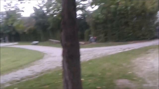 Что за интересный вид клена? смотреть онлайн