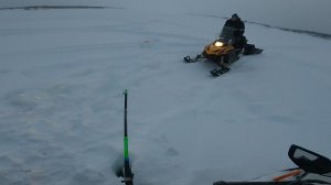 Налим на зимнюю удочку