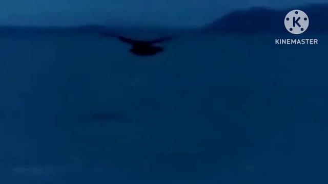 NEW ITALO DISCO.CCCatch-Strangers By Night.Instr.Cover-Dariusz Ejdys.🎹.2023.