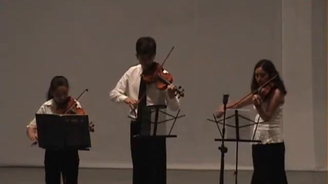 Sebastián Vidal Dic2008 Minuet J S Bach