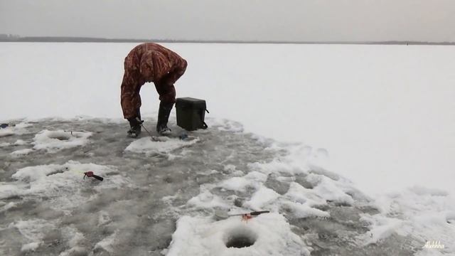 Здоровенный Ротан | Первый лёд смотреть онлайн