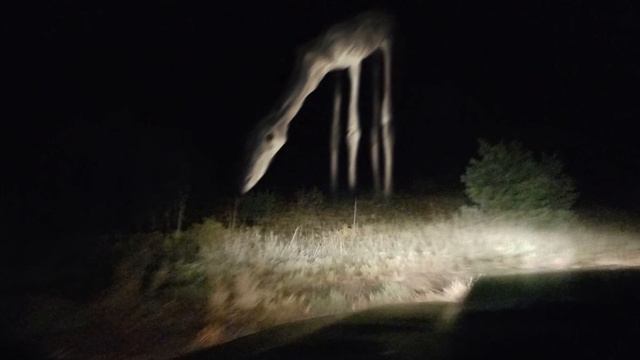 Donde viven los monstruos de Trevor Henderson | +15 Monstruos | Found Footages смотреть онлайн