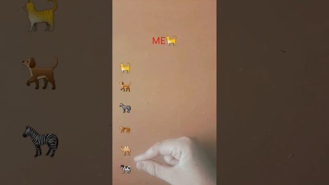 #вреки какое животное у вас у меня кот а у вас пишите в комментыесли тут нету вашых жив ? смотреть онлайн
