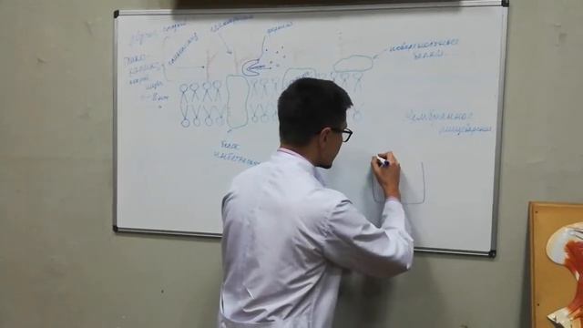 Клеточная мембрана 2 часть смотреть онлайн