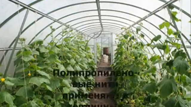 Шпагат полипропиленовый.wmv смотреть онлайн