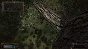 ОП-2. Коллекционер : Лесок между АТП и ЖД насыпью на Кордоне