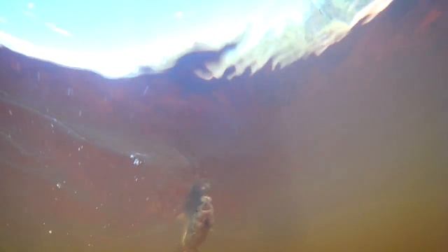 Тащу Хариуса на нахлыст на шарью смотреть онлайн