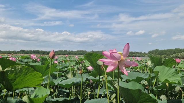 Хабаровск, Владивосток