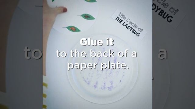 Teach Life Cycle With Paper Plates and Free Printables смотреть онлайн