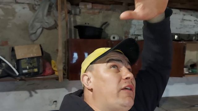 Получились бройлеры от серого петуха.