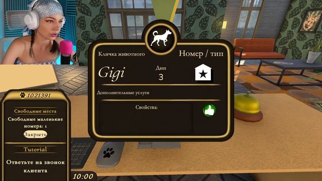 ОТКРЫЛА свой ОТЕЛЬ для Питомцев | Pets Hotel смотреть онлайн