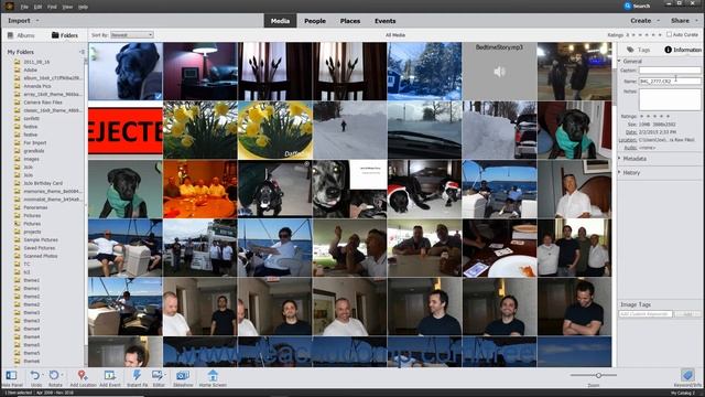 Photoshop Elements 2020 Tutorial JPEG and Camera Raw Adobe Training смотреть онлайн