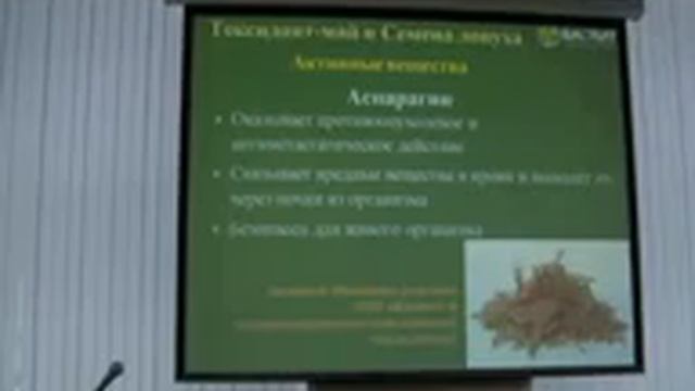 Семейные советы по воспитанию детей