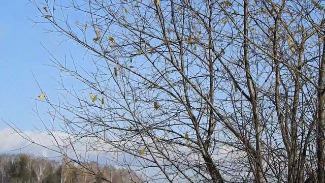 Озеро Шарташ, Екатеринбург 20 октября 2018 смотреть онлайн