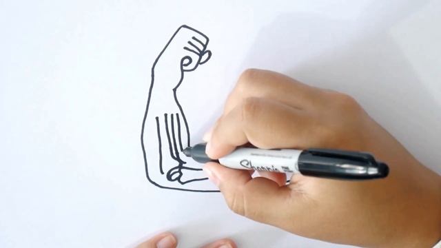 ¿Cómo Dibujar Un MUSCULOS? - Dibujo De MUSCULOS