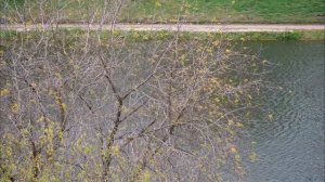 Когда кажется, что хуже уже некуда... Архимандрит Андрей Конанос