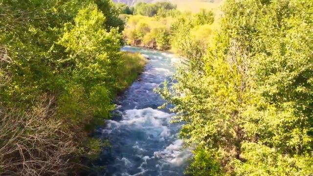 Джунгарский Алатау ,Алакольский район природа,этот звук😍