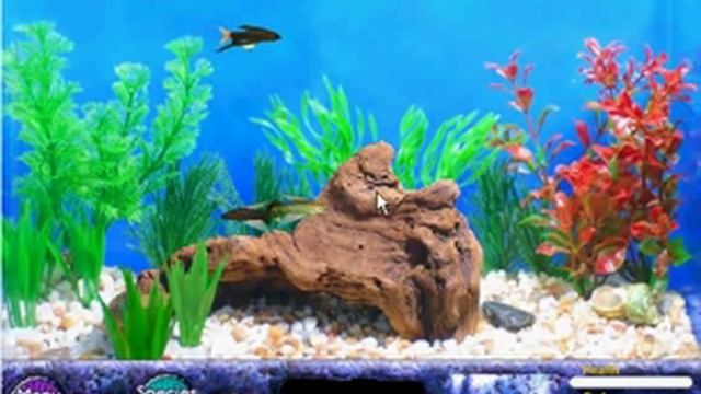 Fish tycoon money cheat(FLASH) смотреть онлайн