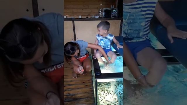 рыбки чистят ножки смотреть онлайн