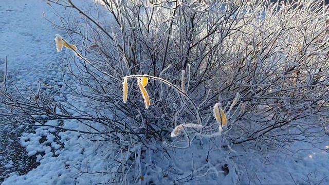 Звенящая тишина. Октябрь. Мурманск. смотреть онлайн