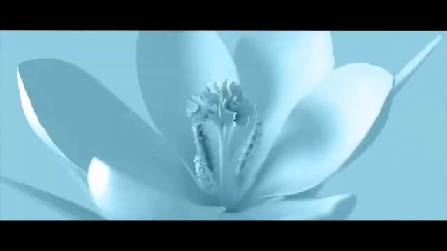 Шланг поливочный, для полива Claber 1/2" (12,7мм) Top Light 25 м, с коннекторами 2 шт Италия. Клабе смотреть онлайн