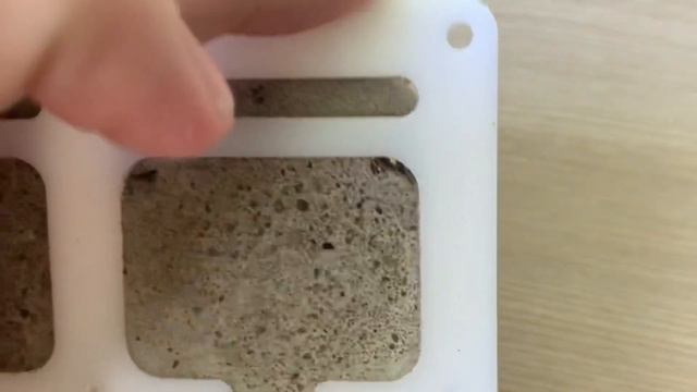 Бетонный формикарий потерпел поражение??? Бетон Vs соленопсис гемината (Solenopsis Geminata)