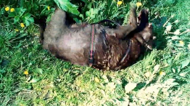пока мама не видит смотреть онлайн