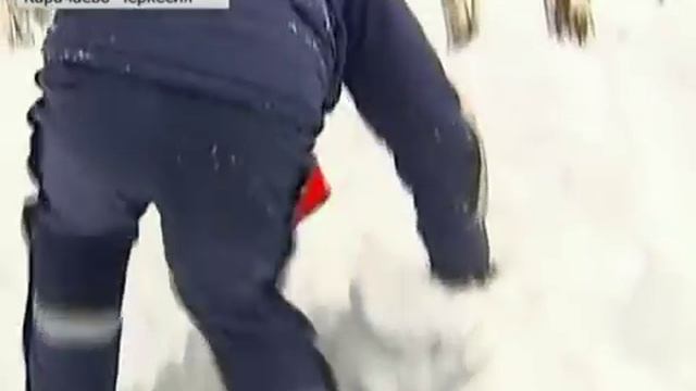 Сдают экзамены четвероногие спасатели смотреть онлайн