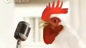 Куриный рэп