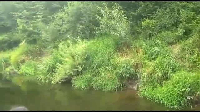 Плавание к водопаду по реке Лава ( Пос.Знаменск нем. Wehlau) смотреть онлайн