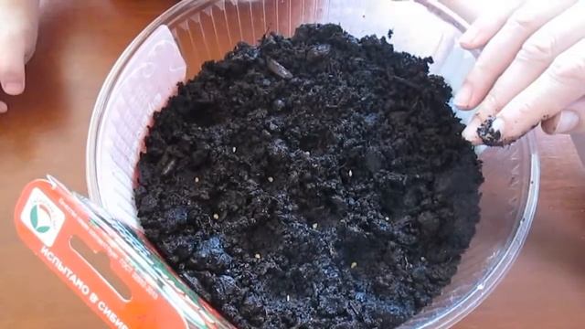 Чудо на балконе!!!!!//деревенская жизнь смотреть онлайн