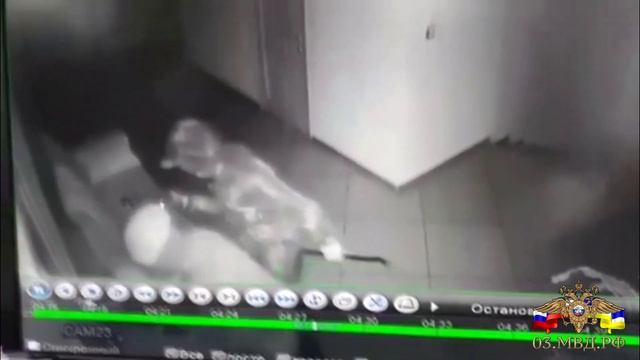 Кража из офиса Янты в Улан-Удэ смотреть онлайн