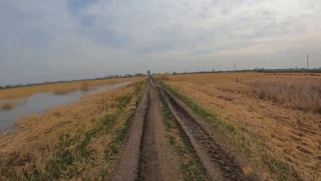 Павлодар 2022 / Природа Павлодара / На велосипеде смотреть онлайн